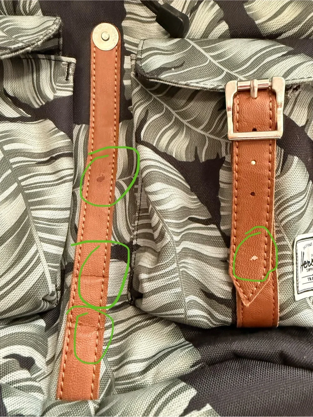 Herschel Supply Co. Dawson Backpack Leaf Print, 21.5L